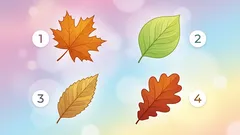 Persoonlijkheidstest: ontdek hoe aandachtig je bent